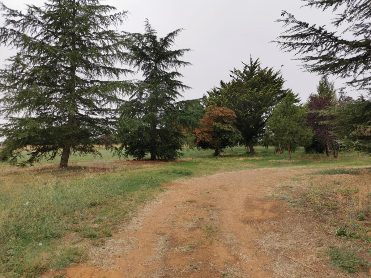 Casa Chalet En El Campo Barbadillo Экстерьер фото