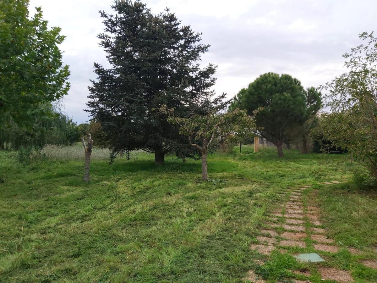 Casa Chalet En El Campo Barbadillo Экстерьер фото