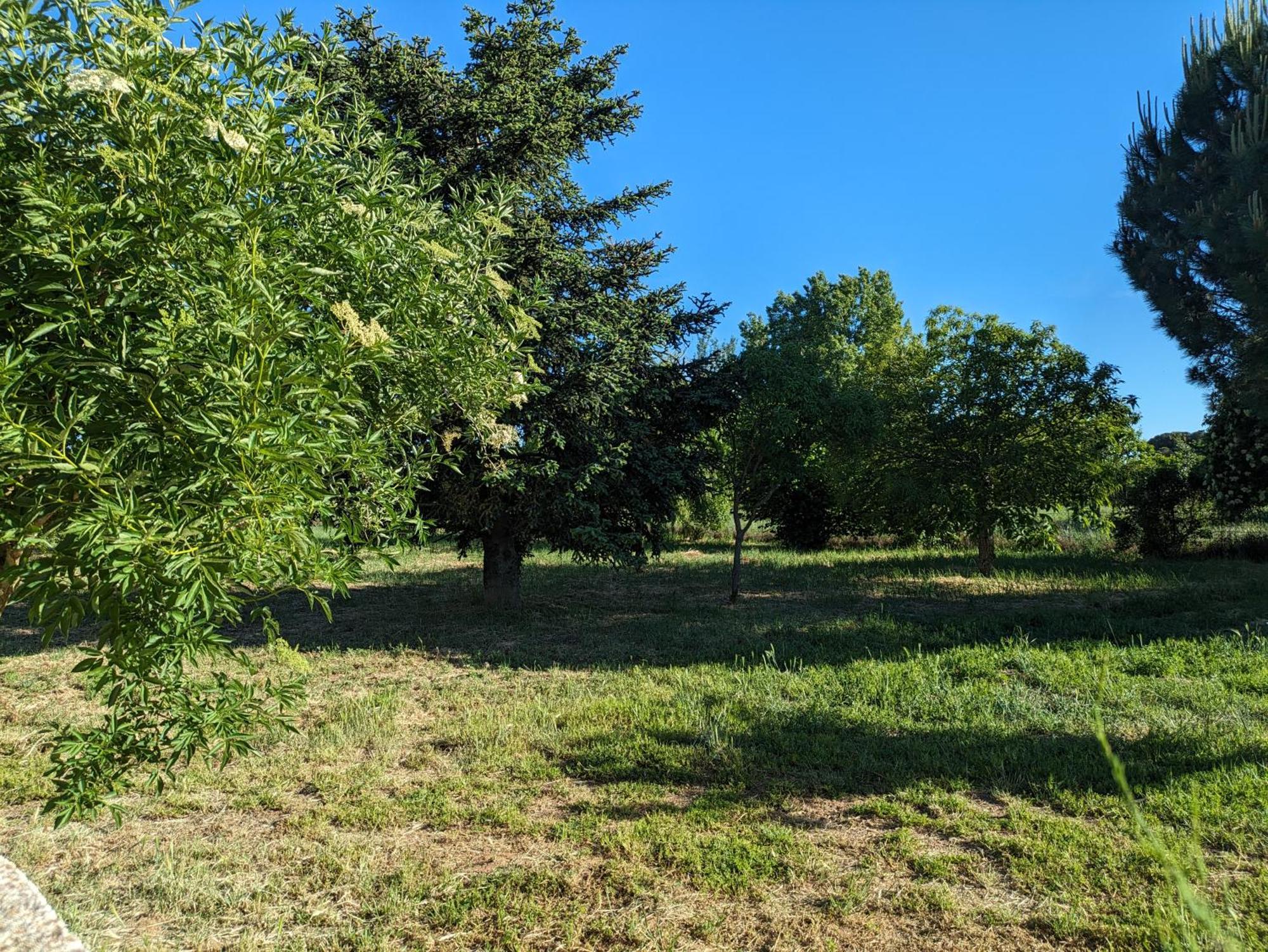 Casa Chalet En El Campo Barbadillo Экстерьер фото
